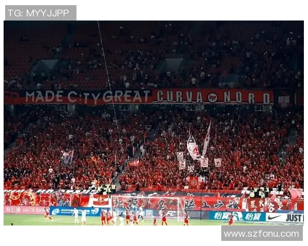 足球明星观赛全记录：他们眼中的精彩瞬间与幕后故事